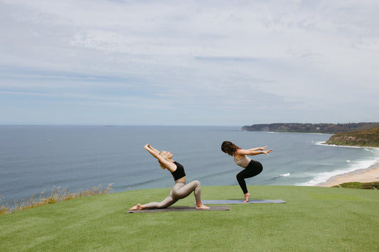 Yogis on mountain top
